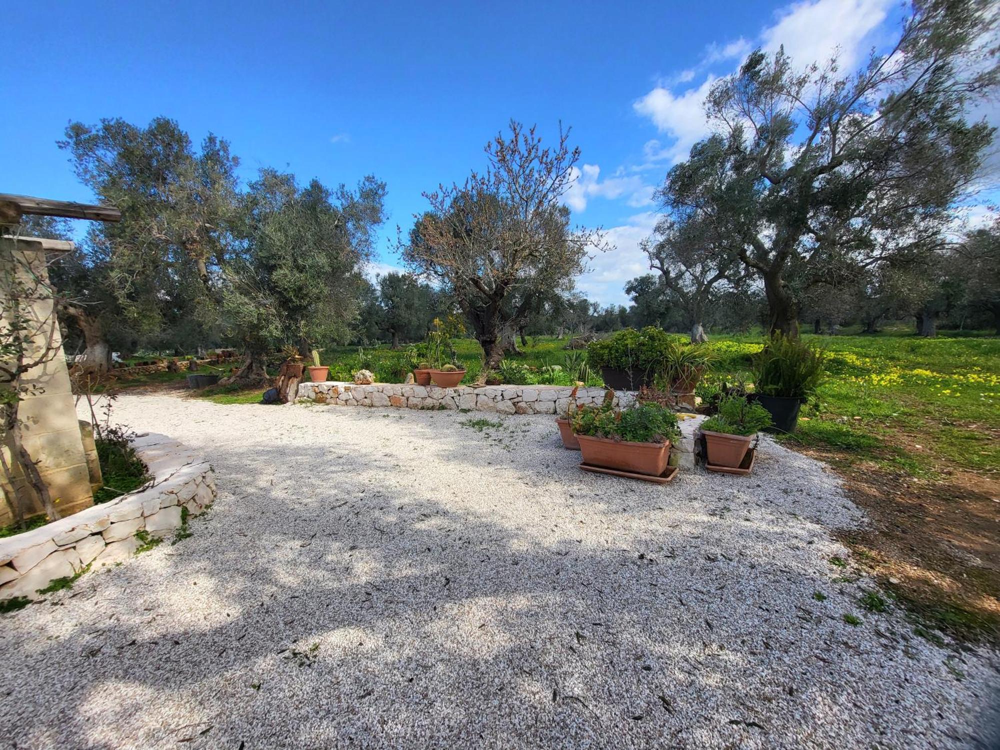 Trullo Incantevole Остуни Экстерьер фото